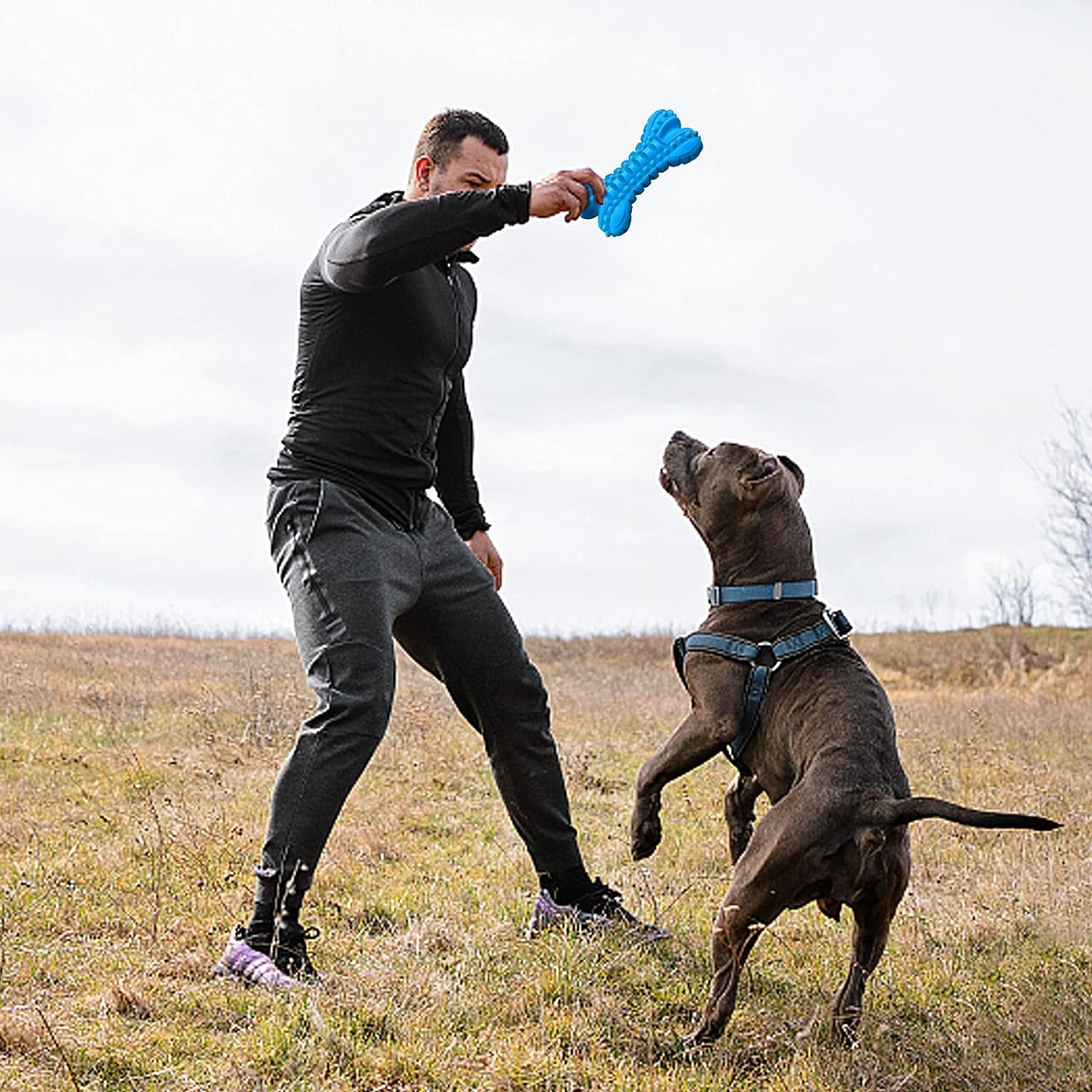 Dog Toys for Aggressive Chewers Large Breed, Durable Dog Chew Toy, Nearly Indestructible Dog Toys for Large Dogs, Tough Natural Rubber Puppy Chew Toys for Medium Dog Teeth Cleaning